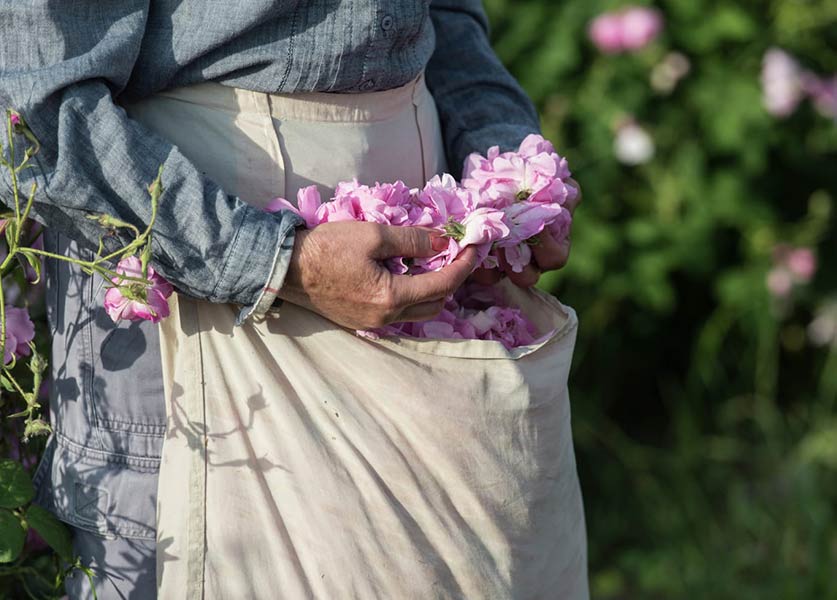 The Family behind Chanel Fragrances