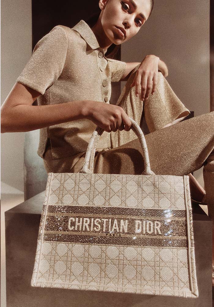 Christian Dior Bags Collection