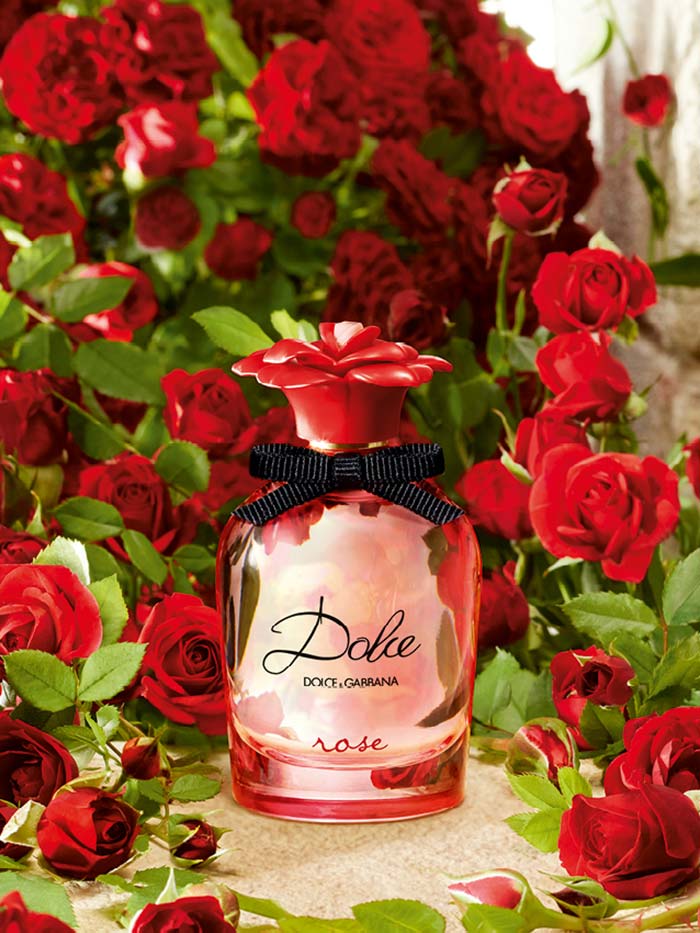 Dolce Rose – Dolce and Gabbana 