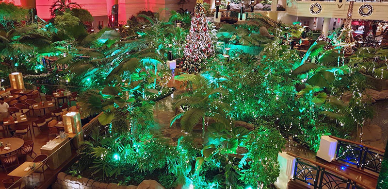 Grand-Hyatt-–-Grand-Christmas-Garden