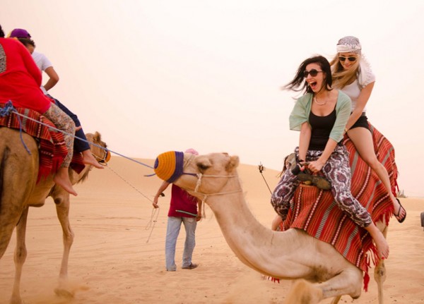 Best Safari Tours In Dubai