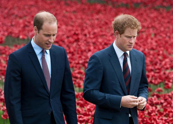 Princes William & Harry honor their late mother