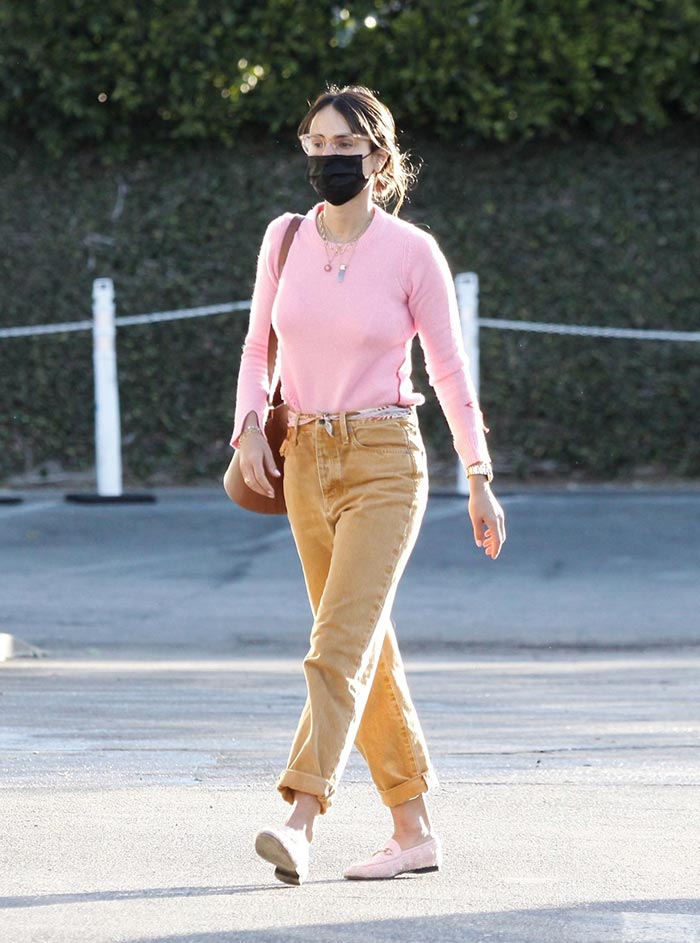 jordana brewster-in-a-pink-top-