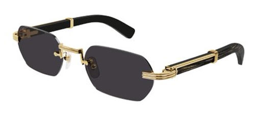 Trending Sunglasses this Fall