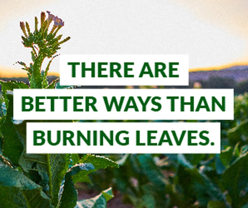 There Are Better Ways Than Burning Leaves