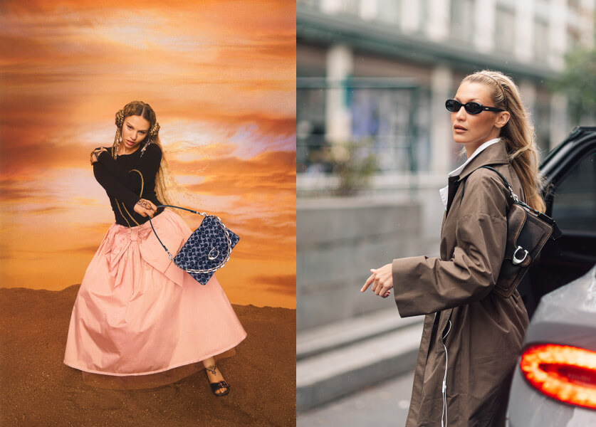 The Bag Every Celebrity Loved in 2025