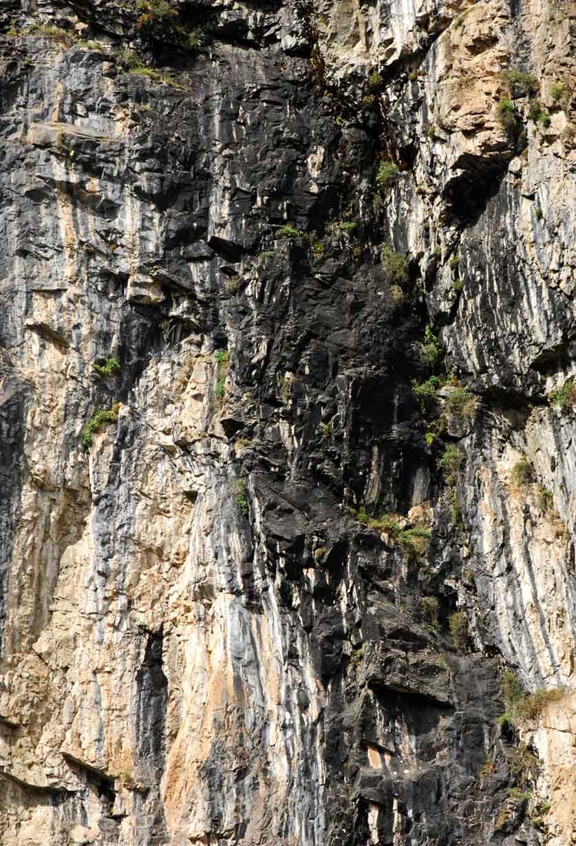 الشيلاجيت من الهيمالايا: فوائده للطاقة وطول العمر تحت المجهر