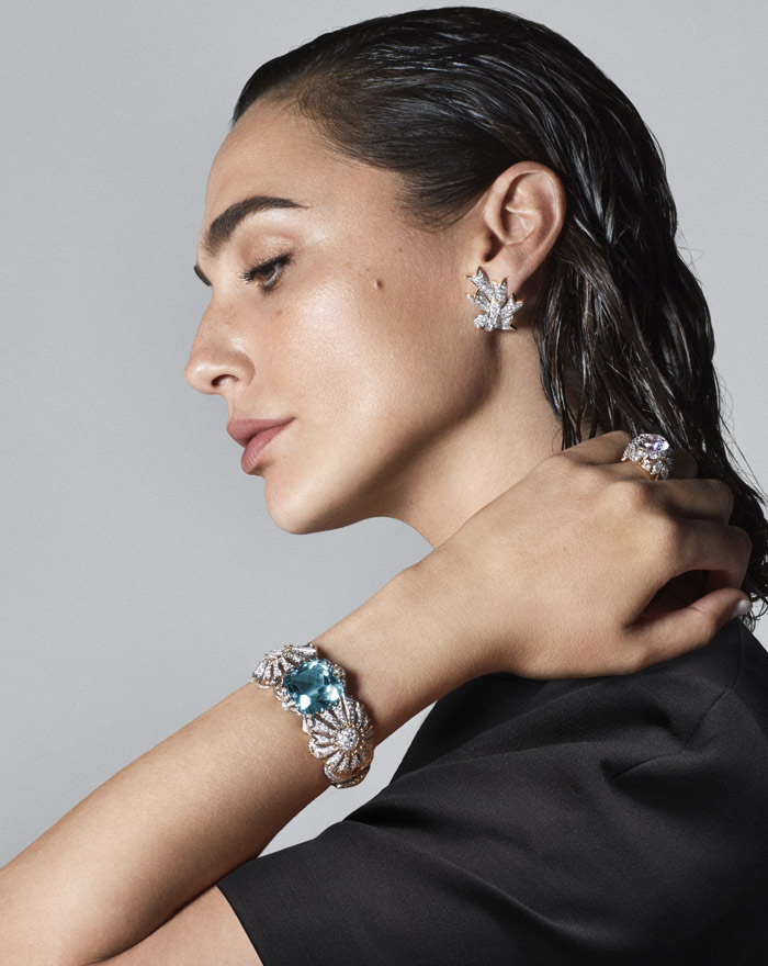 Tiffany And CO New High Jewelry Campaign 